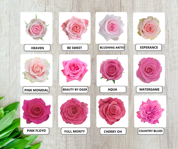 Roses - Mix Box – La Hacienda Flowers