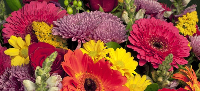 Summer Flowers