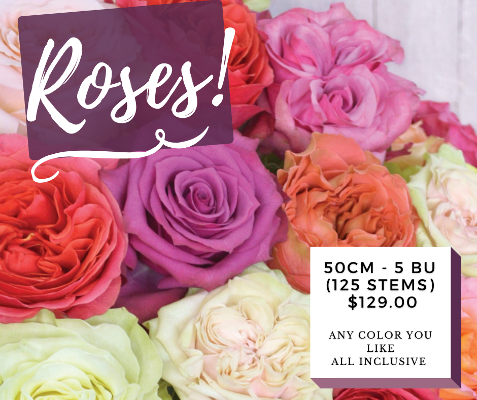 Amazing  Roses - Mix Box