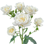 White Majolika