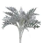 Dusty Miller Hybrid