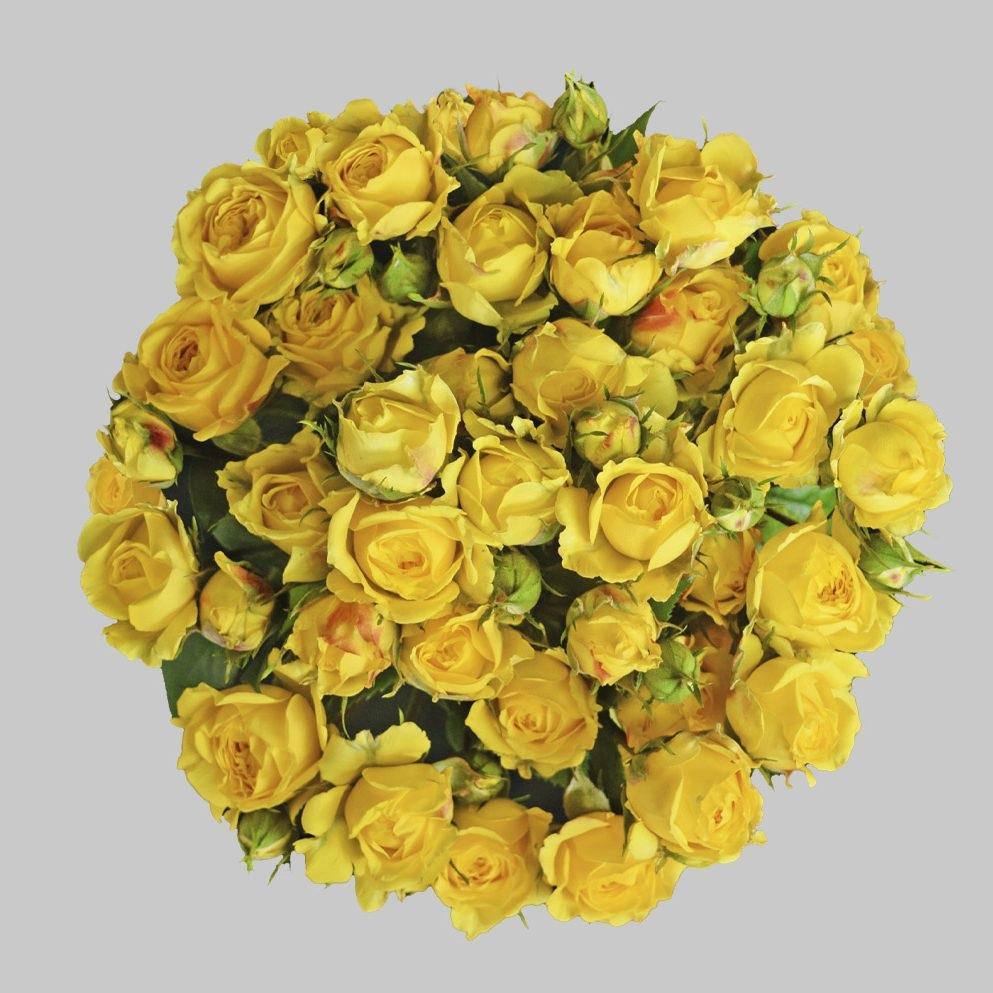 Spray Roses La Hacienda Flowers