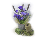 Lisianthus (Assorted Colors) - Solid Box