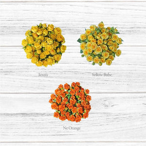 Spray Roses - Mix Box