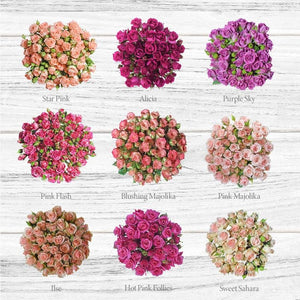 Spray Roses - Mix Box
