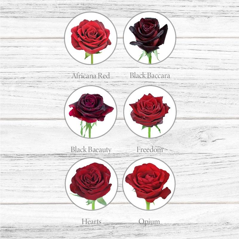Roses - Mix Box – La Hacienda Flowers