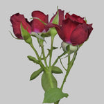 Rubyred