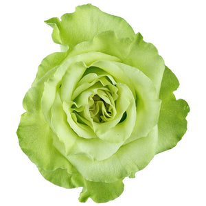 Super Green