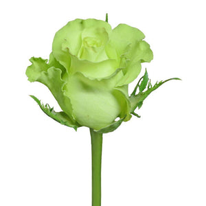 Super Green