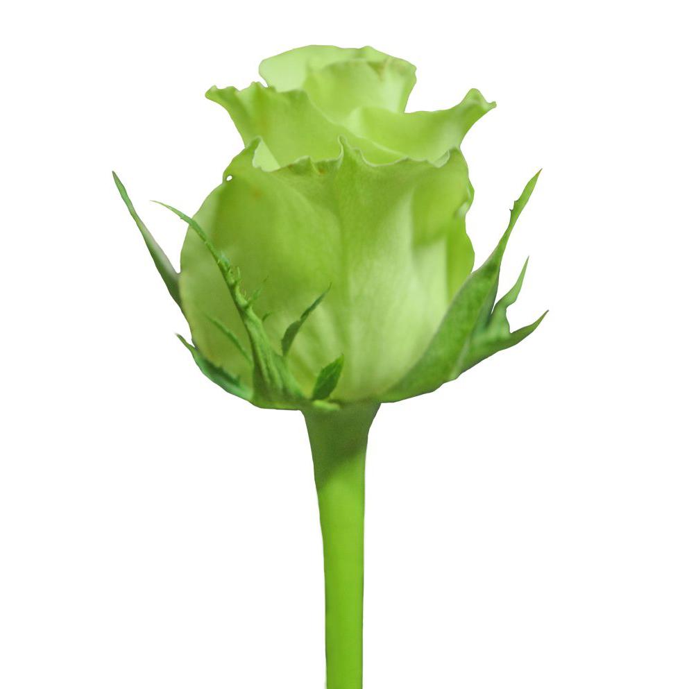 Super Green