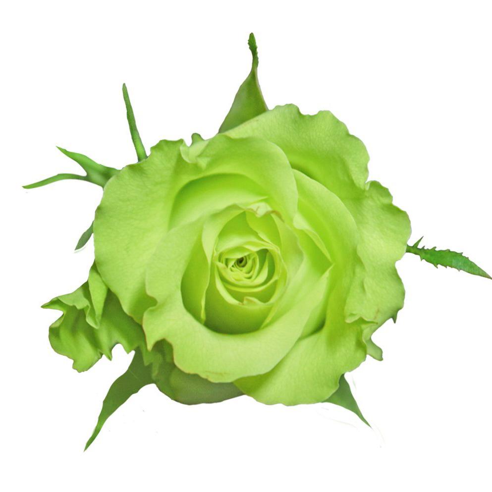 Super Green