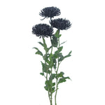 Spidermum Tinted Black