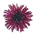 Spidermum Tinted Pink & Black