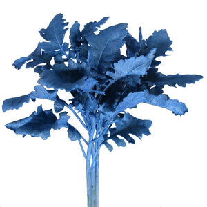 Dusty Miller Tinted Blue Metalized