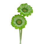 Mini Gerbera Tinted Green