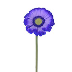 Mini Gerbera Tinted Purple