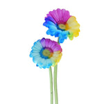 Mini Gerbera