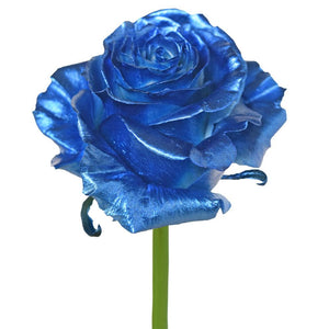 Roses Tinted Metalic Blue
