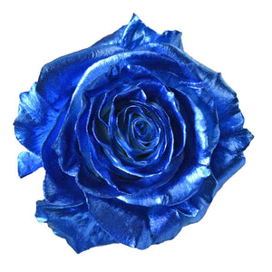 Roses Tinted Metalic Blue