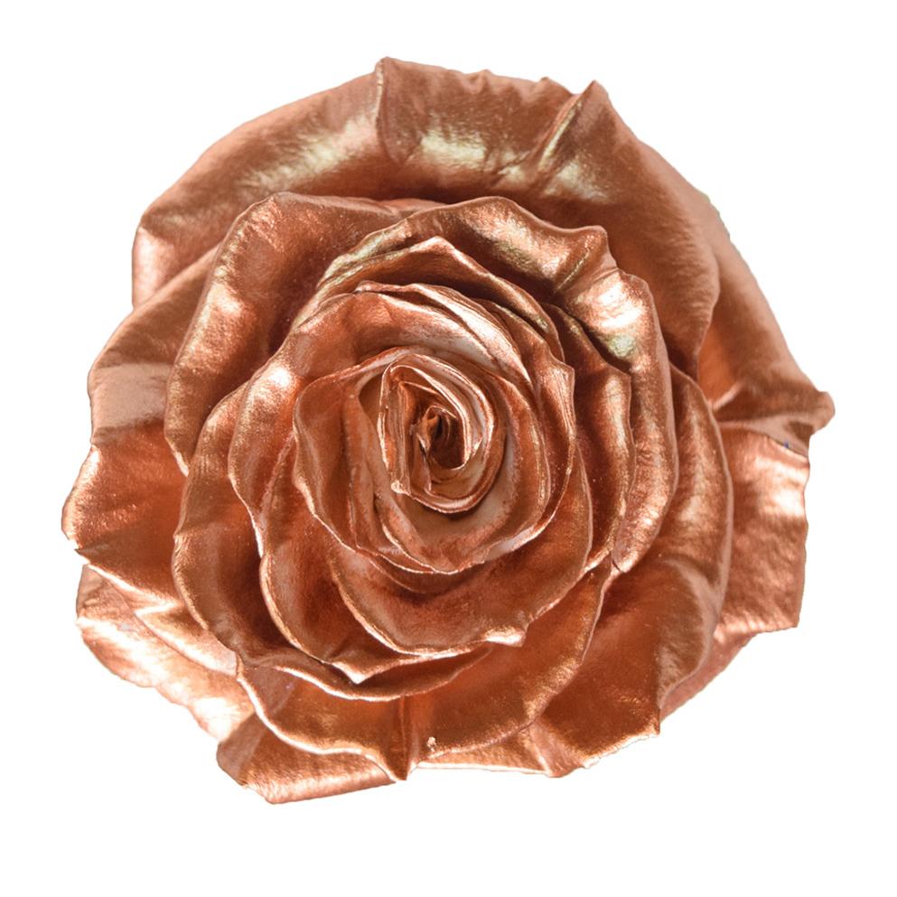 Roses Tinted Metalic Copper