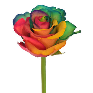 Roses Tinted Rainbow Variants 3