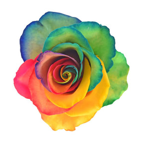 Roses Tinted Rainbow Variants 3