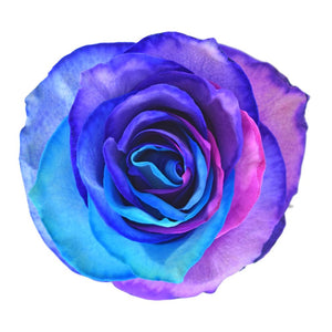 Roses Tinted Rainbow Variants 5