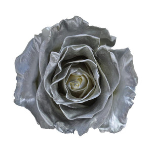 Roses Tinted Silver