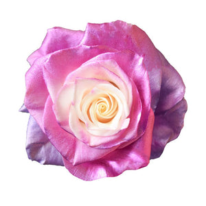 Roses Tinted Spraying Variants 12
