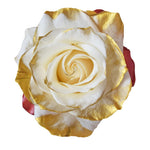 Roses Tinted Spraying Variants 1