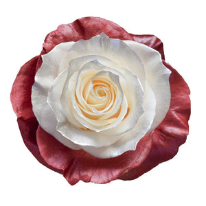 Roses Tinted Spraying Variants 2