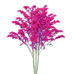Solidago Tinted Pink