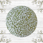 Gypsophila Xlence - Solid Box